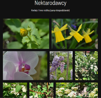 Nektarodawcy