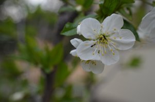 DSC_0325