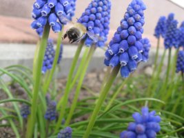 IMG_8063