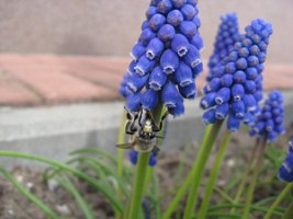 IMG_8064