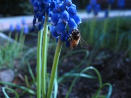 IMG_8222