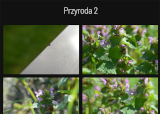 Przyroda 2
